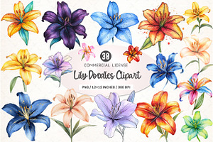 Lily Doodles Colorful PNG, an Illustration by SinaCreation
