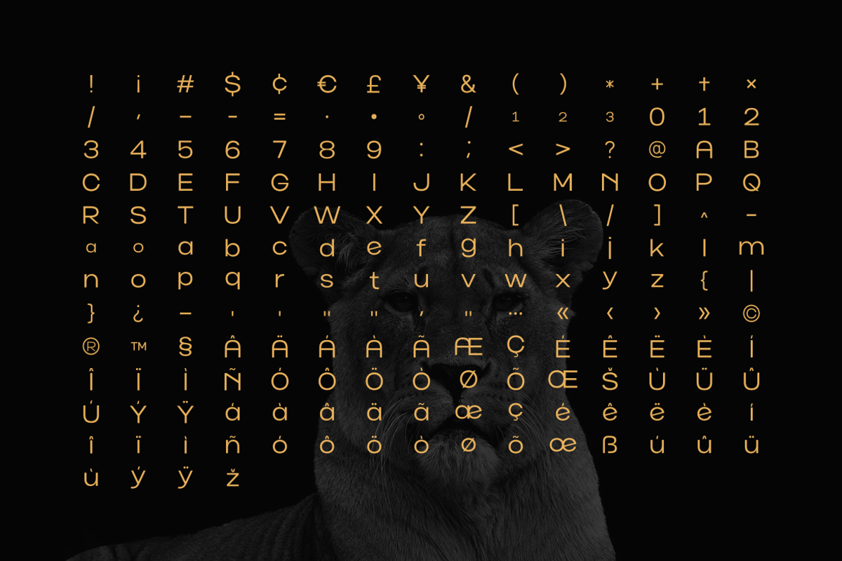 Norik Nue - A Modern Sans-serif Font, a Sans Serif Font by Webhance Studio (Photo 12 of 12)