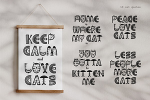 Crazy Cat Font. Cat Quotes