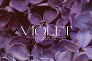 Velvet - Expanded & Elegant Serif, a Serif Font by Misha Sova (Thumbnail 3 of 8)