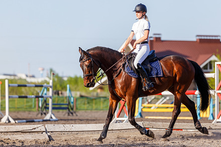Young rider woman riding horse warming up before showjumping competition, a Sports & Recreation Photo by serkum