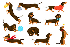 Cartoon dachshund dog puppy, an Animal Illustration by Buch&Bee