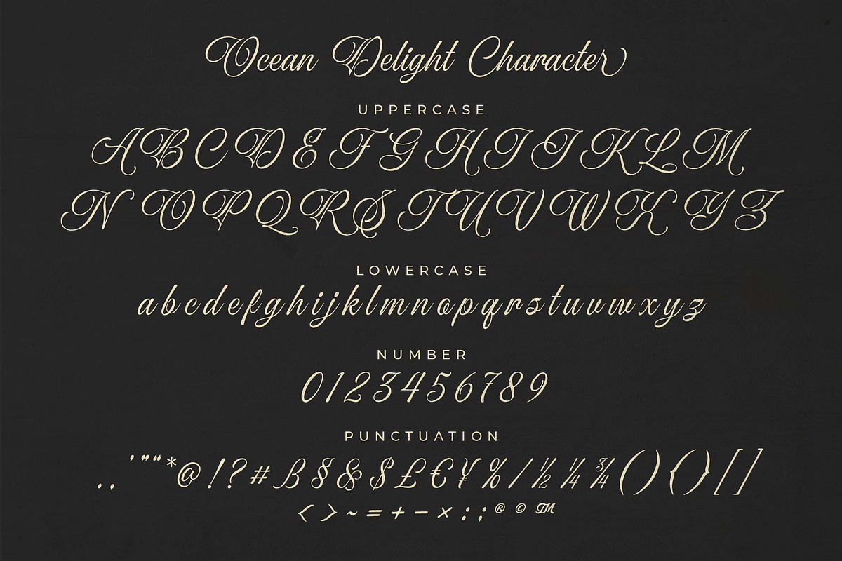 Ocean Delight a Stylish Script Font, a Script Font by Blankids Studio (Photo 10 of 13)