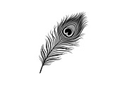 Peacock Feather Silhouette Bundle, an Illustration by jahid234 (Thumbnail 23 of 31)
