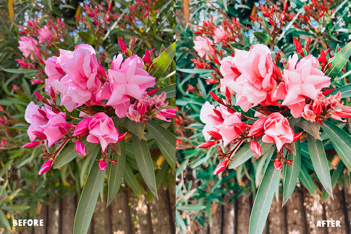 Lightroom Presets Bundle (3 for 2), a Preset Add-On by Faber Co. (Photo 4 of 9)
