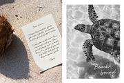 Ocean Bliss | Modern Handwritten, a Handwritten Font by Vikam Media (Thumbnail 8 of 9)