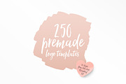 1500 Logos Bundle Collection, a Branding & Logo Template by Graphicdome (Thumbnail 132 of 185)