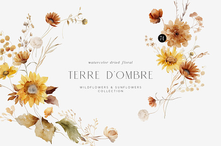 TERRE D'OMBRE Autumn Wildflowers, a Decorative Illustration by Muse Artist
