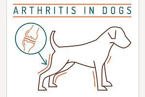 Arthritis in dogs. Medical poster, an Animal Illustration by Anna's Shop