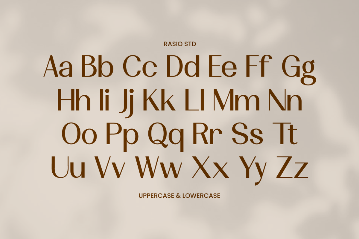 Velamer Modern Minimalist Serif Font, a Serif Font by Rasio Studio (Photo 2 of 9)