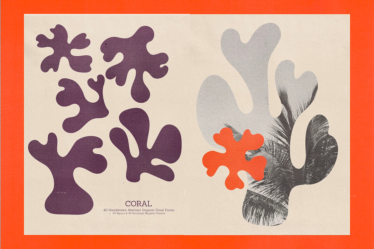 Coral – Hand Drawn Coral Forms, a Decorative Illustration by Madeline ODonoghue Design (Photo 8 of 15)