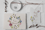 Wildflower & Butterfly Collection, a Decorative Illustration by Nadia Semyroz (Thumbnail 6 of 12)