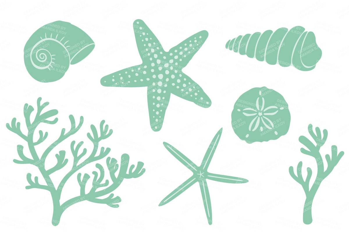 Seashells Clipart in Mint, an Illustration by Amanda Ilkov (Photo 4 of 5)
