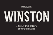 Winston Typeface, a Serif Font by Bebop Font Foundry (Thumbnail 1 of 5)