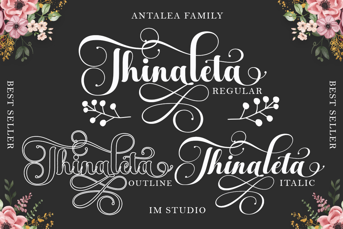 Antalea, a Script Font by IM Studio (Photo 2 of 12)