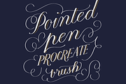 Pointed Pen Procreate Brush, a Brush Add-On by The Scratchy Nib (Thumbnail 1 of 10)