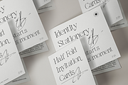 Bavelina Modern Elegant Serif Font, a Serif Font by Rasio Studio (Thumbnail 7 of 9)