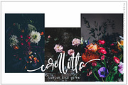 Mottura Font Duo Black Friday, a Script Font by MissinkLab Studio (Thumbnail 3 of 9)