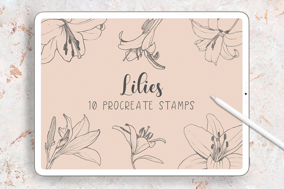 Procreate Botanical Stamps Bundle, a Brush Add-On by Little Nordic Atelier (Photo 10 of 13)