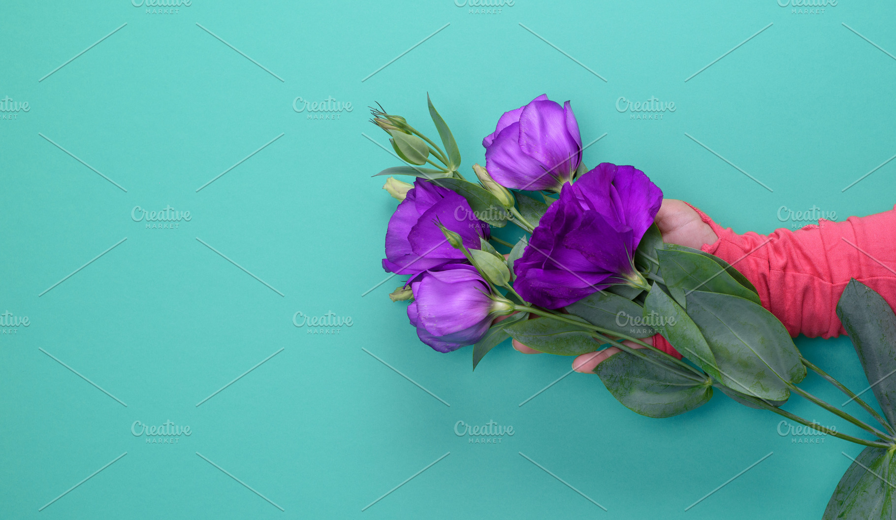 Hand holding a branch of a flower Eustoma Lisianthus on a blue b, a Person Photo by ndanko