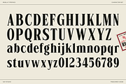 Rigela - Condensed Luxury Serif Font, a Serif Font by Say Studio (Thumbnail 9 of 10)