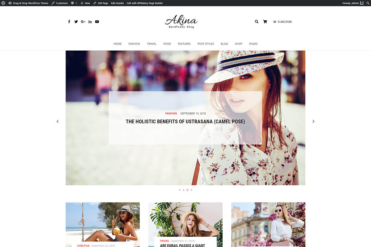 Akina – Blog, Business & Shop Themes, a WordPress Template by Cherry Wordpress Theme (Photo 3 of 9)