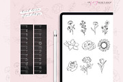 Procreate Floral Line Art Stamp Set, a Brush Add-On by My Fancy Design Shop (Thumbnail 2 of 10)
