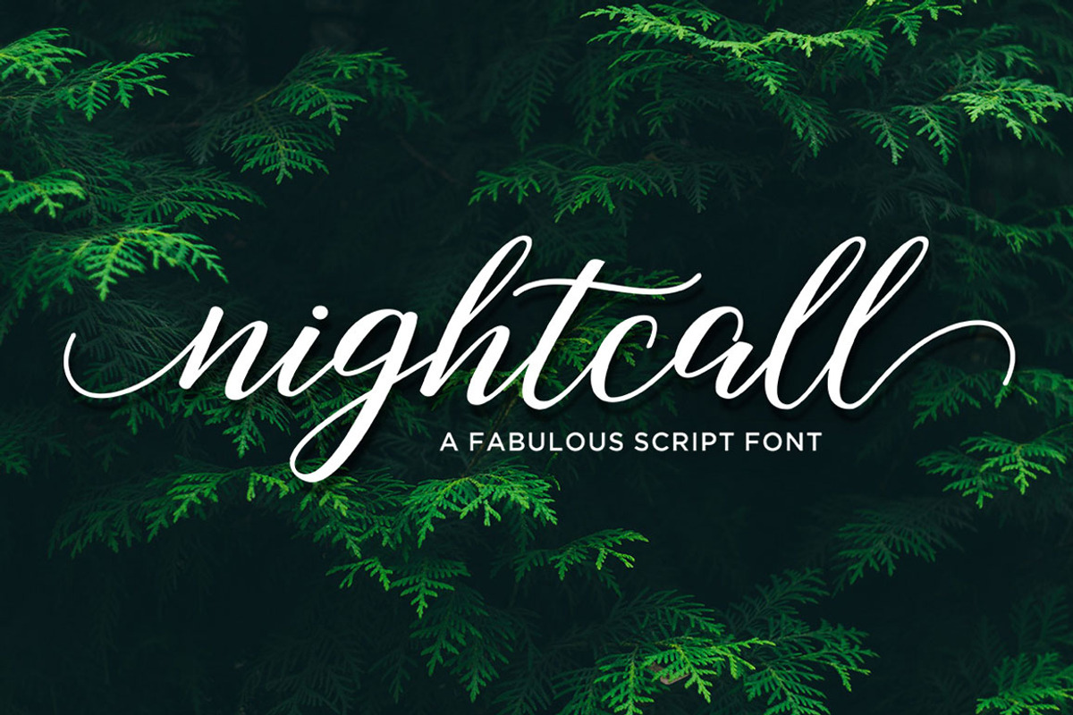 Nightcall Script, a Script Font by Picatype Studio (Photo 13 of 13)