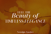 Nostalgia Typeface, a Serif Font by MaxArt Foundry (Thumbnail 8 of 20)