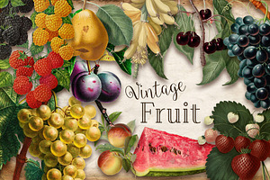 Vintage Fruit