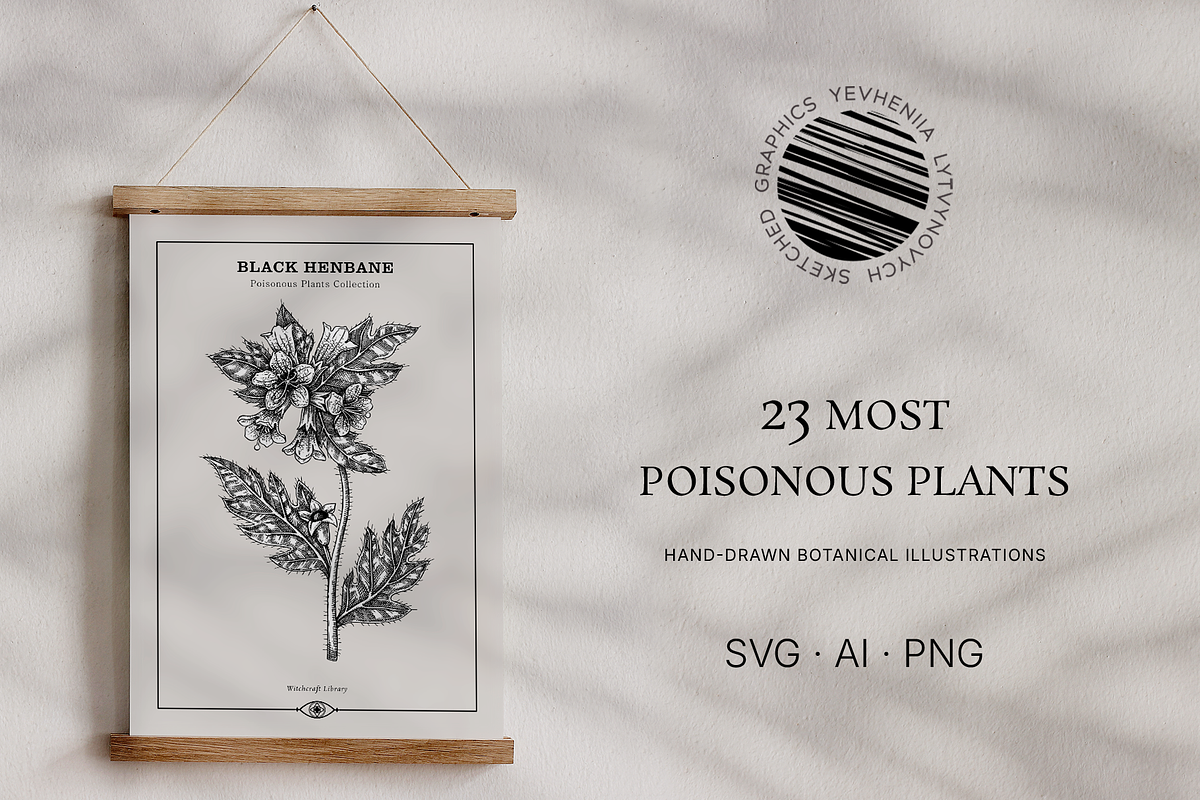 Poisonous Plant Vector Illustrations, an Object Graphic by Yevheniia (Photo 11 of 11)