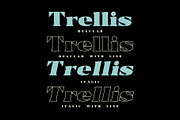 Trellis//Typeface Bold Serif, a Serif Font by Kleffont Studio (Thumbnail 5 of 10)