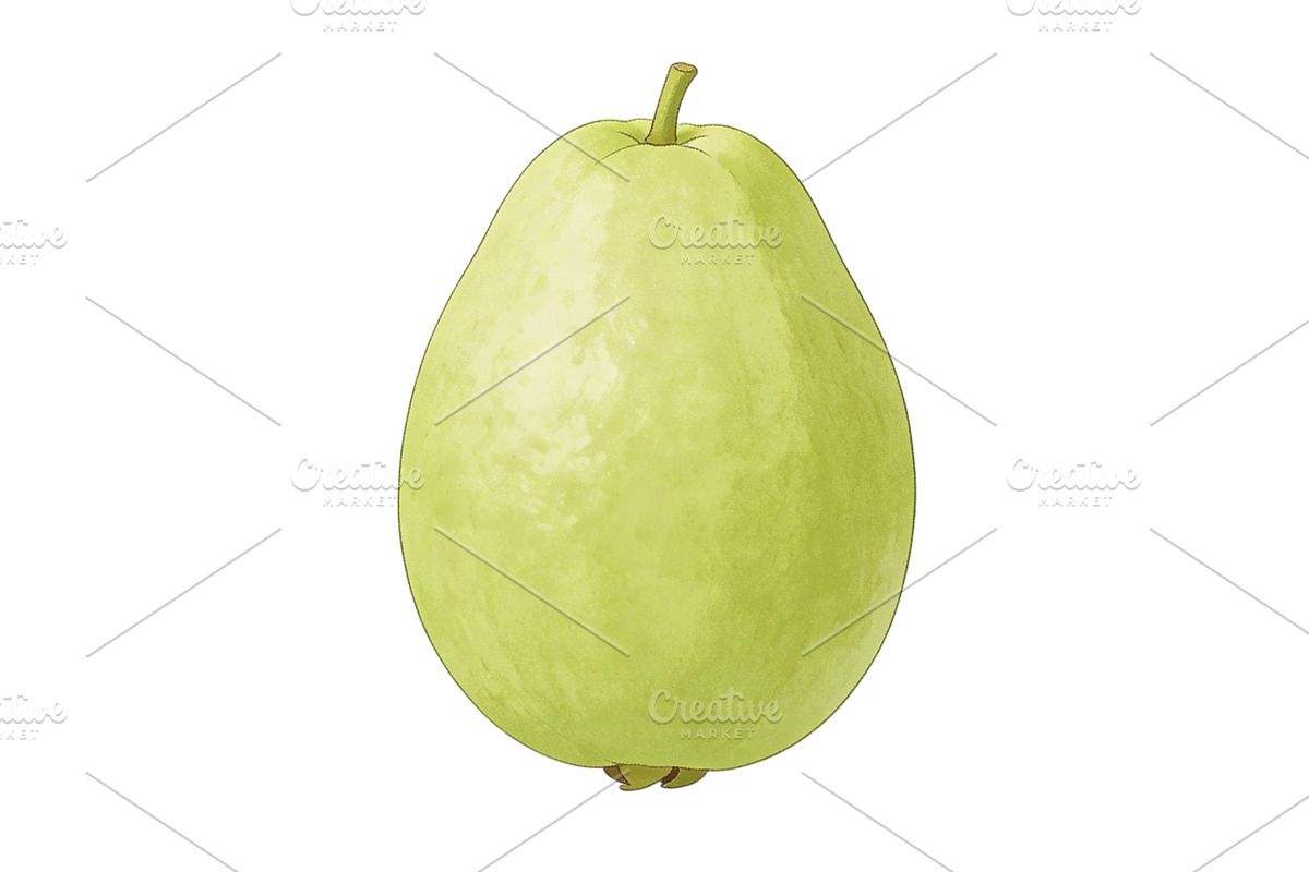 All Fruits Bundle Master Collection, a Food & Drink Photo by FlyeredTemplate (Photo 43 of 130)