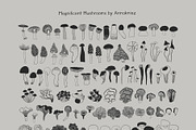 Magnificent Mushrooms, a Food Illustration by Annakniaz (Thumbnail 13 of 15)