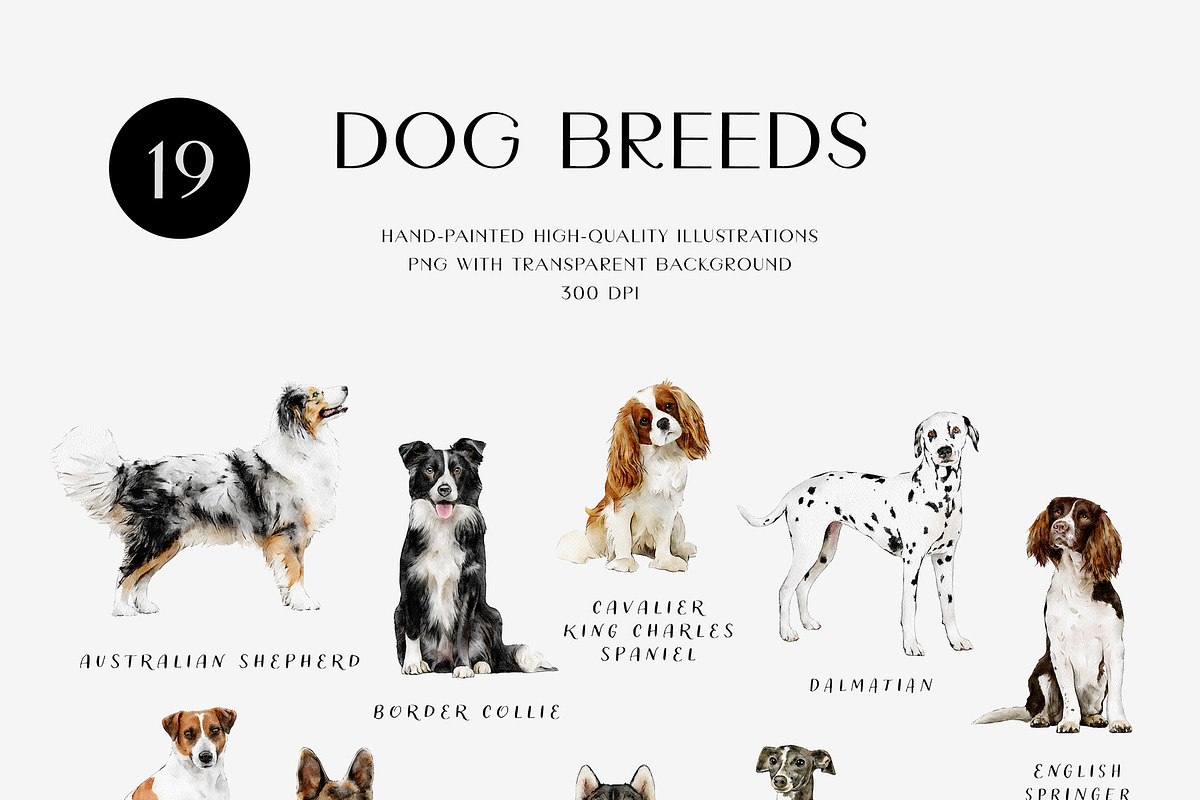 Dog breed clipart illustration set, an Animal Illustration by Diana Askarova Art (Photo 3 of 8)