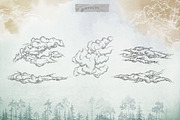 Misty Forest Collection, an Animal Illustration by Michael Rayback Design (Thumbnail 6 of 7)