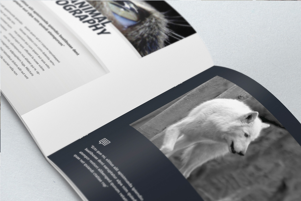 Elegant Photo Album A4 + Letter, a Brochure Template by Luuqas Design (Photo 5 of 7)