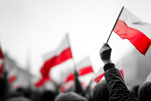 Crowd of people waving Polish flag, a Person Photo by MistyDay