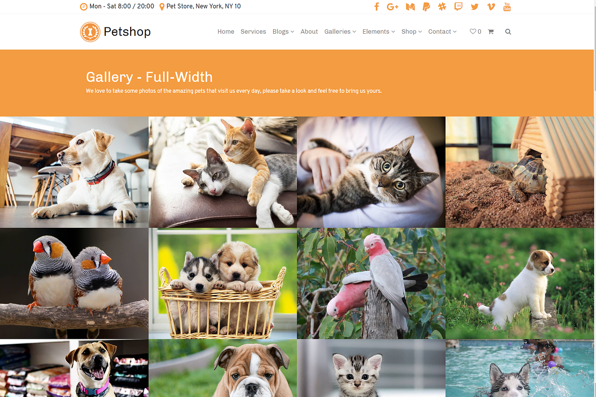 Petshop & Pet Care WordPress Theme, a WordPress Template by Visualmodo (Photo 28 of 30)