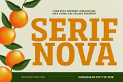 Serifnova, a Serif Font by graphicook (Thumbnail 1 of 10)