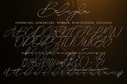 Beluyha, a Script Font by pineungtype (Thumbnail 9 of 9)