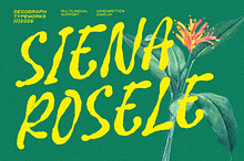 Siena Rosele – Handwritten Font