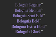 Bolognia - Classic Serif, a Serif Font by Craft Supply Co. (Thumbnail 3 of 8)