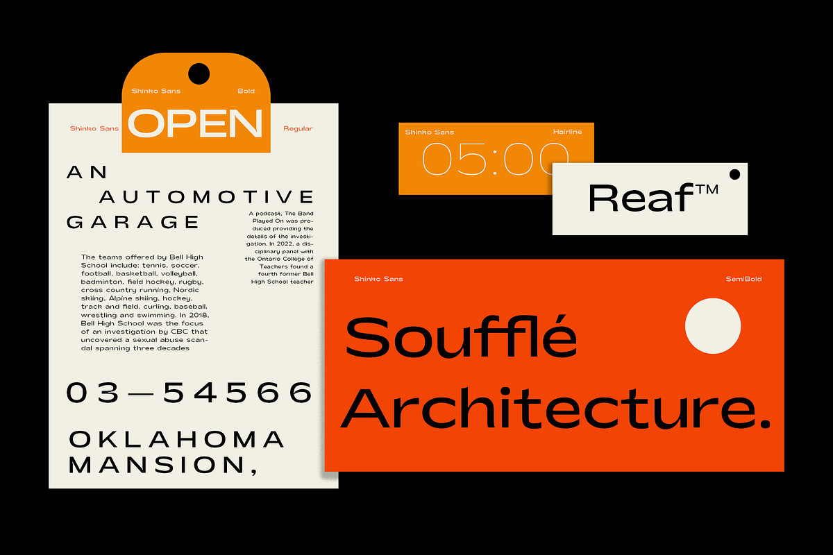 Shinko Sans | Humanist Wide Font, a Sans Serif Font by Jolicia Type (Photo 10 of 17)