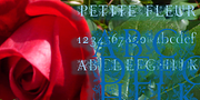PetiteFleur, a Font by Wiescher-Design (Thumbnail 2 of 2)