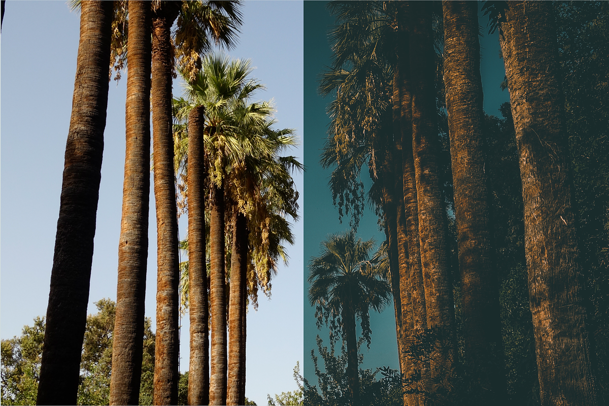 Deepy Moody Teal Lightroom preset preview 3