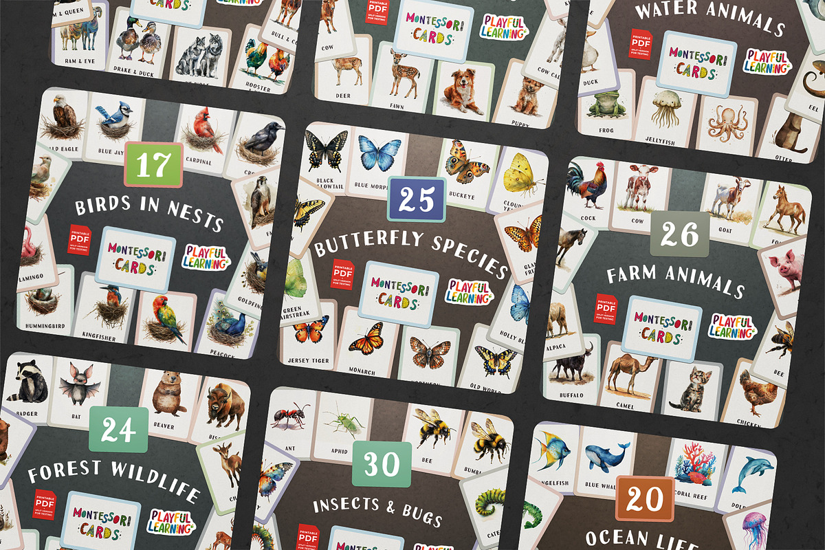 Animals Montessori Cards Bundle, an Education Illustration by Pix Cafe (Photo 3 of 12)