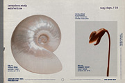 Copy Dept. — Editorial Archive Font, a Slab Serif Font by nadispasibenko (Thumbnail 2 of 7)