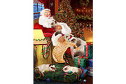 Christmas Santa Himalayan Cat Art, an Animal Illustration by Art Paradise Studios (Thumbnail 1 of 3)