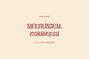 Douglas Thomson, a Serif Font by Cruzine (Thumbnail 8 of 8)